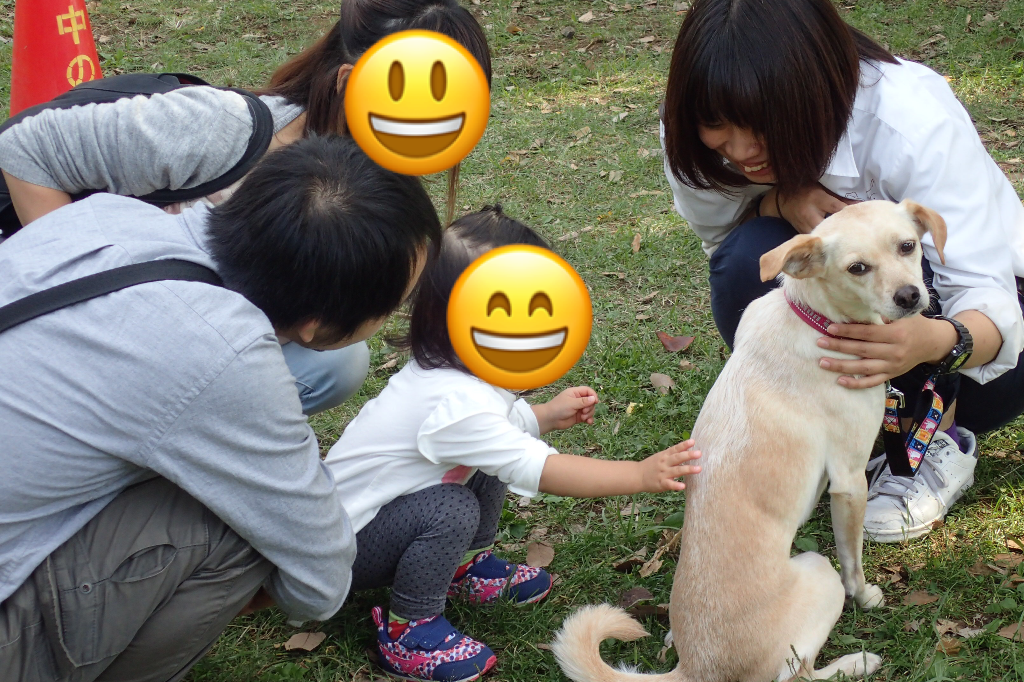 犬は嬉しいと尻尾を振る はっぴーているず